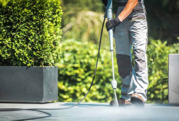 Best Fence Cleaning  in Richmond, IL