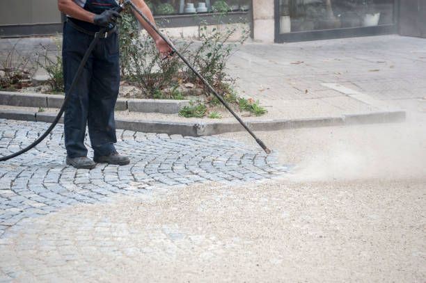 Best Gutter Cleaning  in Richmond, IL